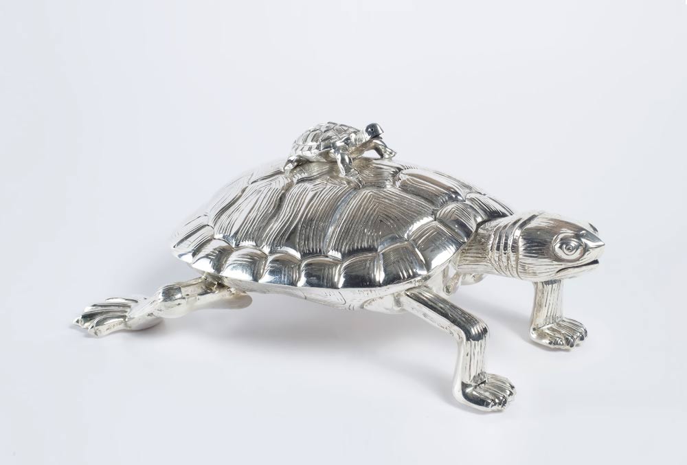Caja de Tortuga.