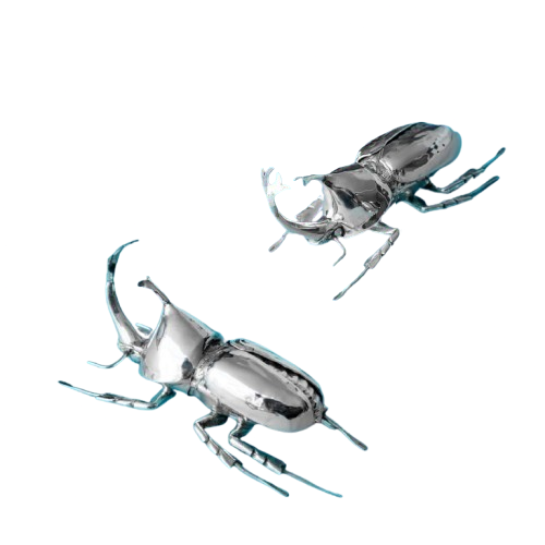 Escarabajo Rinoceronte.