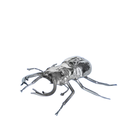 Escarabajo.