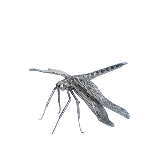 Libelula.