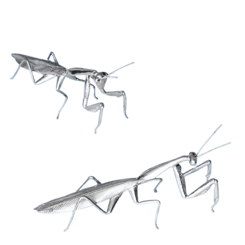 Mantis.
