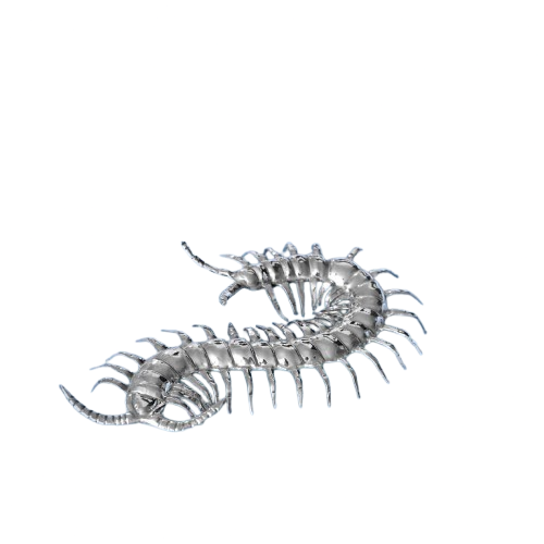 Cien pies. 